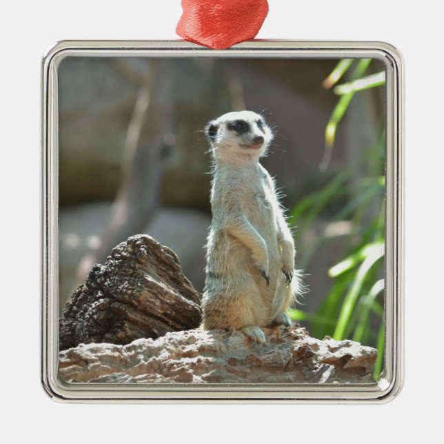 Meerkat Metal Tree Decoration (Front)