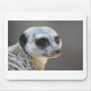 Meerkat Mouse Pad