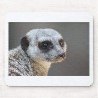 Meerkat Mouse Pad