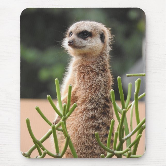 Meerkat Mouse Pad (Front)