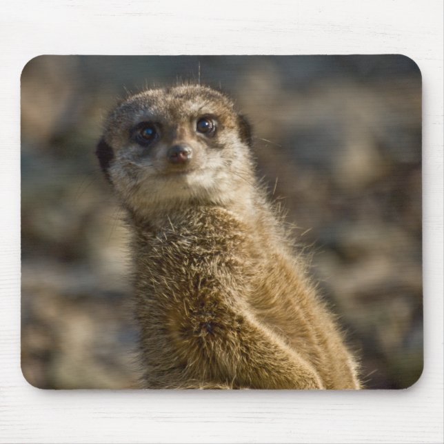 Meerkat Mouse Pad (Front)