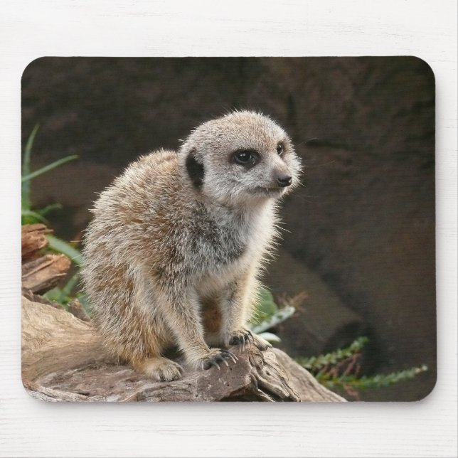 Meerkat Mouse Pad (Front)