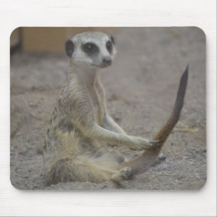 Meerkat Mouse Pad