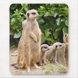 meerkat mousepad