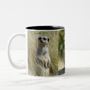 Meerkat mug