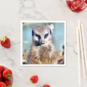 MEERKAT NAPKIN