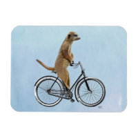 Meerkat on Bicycle 2