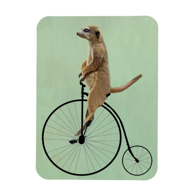 Meerkat on Black Penny Farthing 2 Magnet (Vertical)