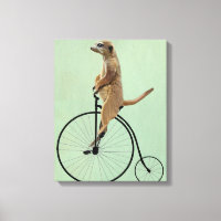 Meerkat on Black Penny Farthing