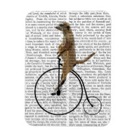 Meerkat on Black Penny Farthing