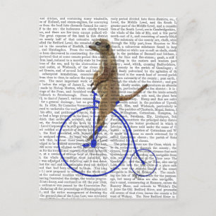Meerkat On Blue Penny Farthing Postcard