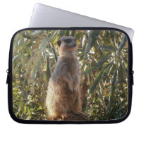 Meerkat On Guard Duty,