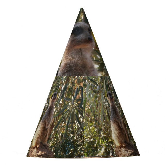 Meerkat On Guard Duty, Party Hat (Front)