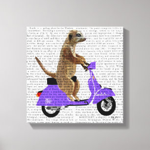 Meerkat on Lilac Moped Canvas Print