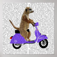 Meerkat on Lilac Moped