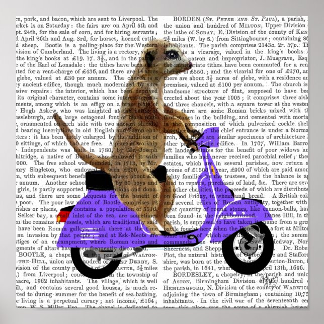 Meerkat on Lilac Moped Poster (Front)
