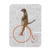 Meerkat on Orange Penny Farthing