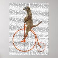 Meerkat on Orange Penny Farthing