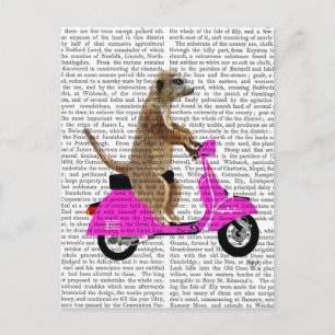 Meerkat on Pink Moped Postcard
