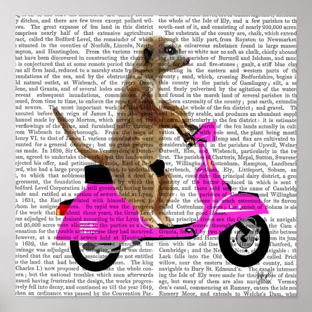 Meerkat on Pink Moped Poster (Front)