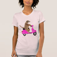 Meerkat on Pink Moped