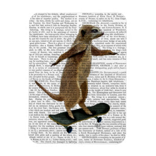 Meerkat On Skateboard 2 Magnet