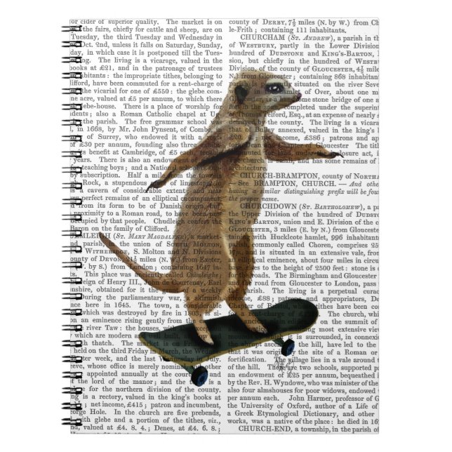 Meerkat On Skateboard 2 Spiral Notebook (Front)