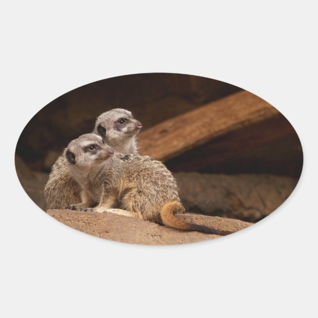 Meerkat Oval Sticker (Front)