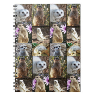 Meerkat Photo Collage, Notebook