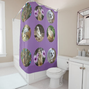 Meerkat_Photo_Collage_Purple_Shower_Curtain Shower Curtain