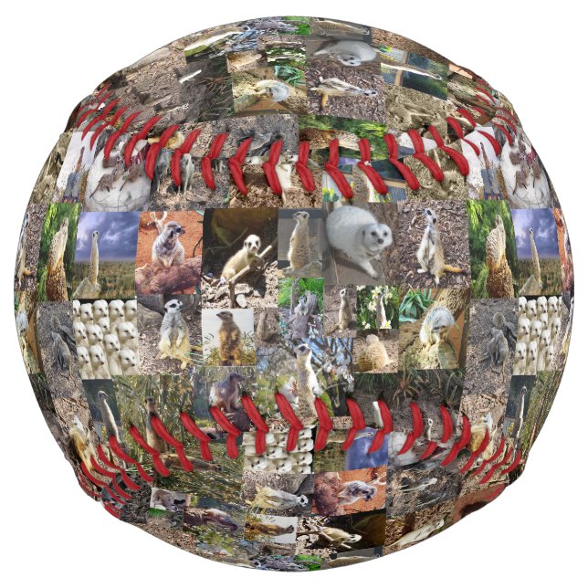 Meerkat Photo Collage, Softball (Front)