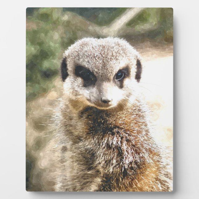 MEERKAT PLAQUE (Front)