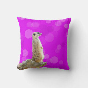 Meerkat Poised On Pink And Purple, Cushion