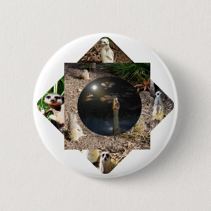 Meerkat Polyscope, 6 Cm Round Badge