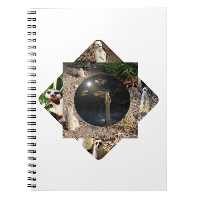 Meerkat Polyscope,  Notebook (Front)