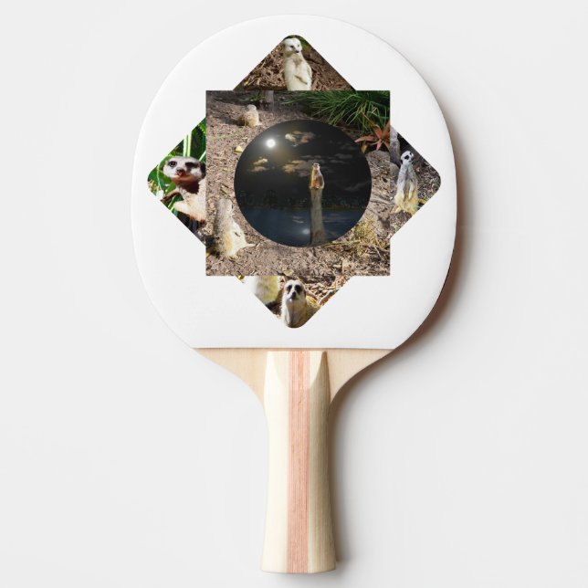 Meerkat Polyscope,  Ping Pong Paddle (Front)