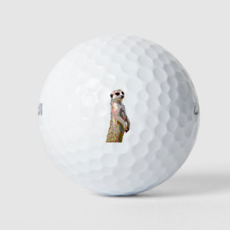 Meerkat - Pop Art Style & Posterised Golf Balls