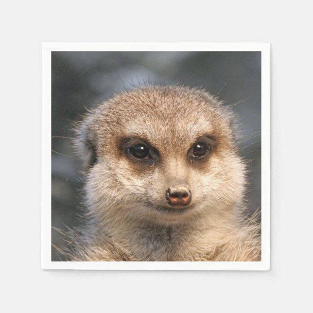 Meerkat-Portrait 002 Napkin (Front)