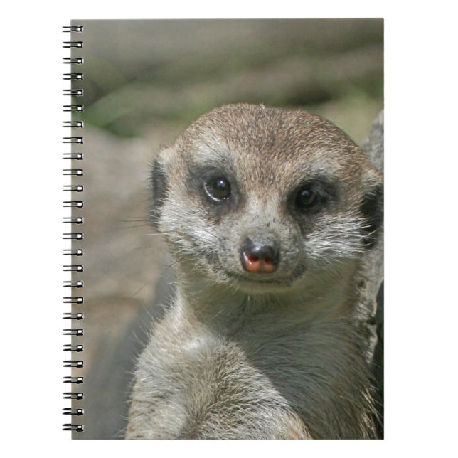 Meerkat-portrait 003 spiral notebook (Front)