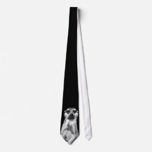 Meerkat Portrait on Black Tie