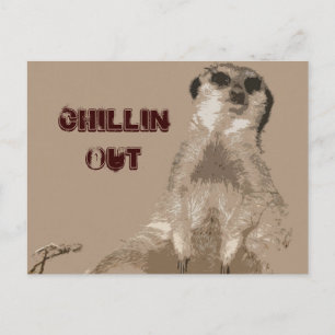 meerkat postcard