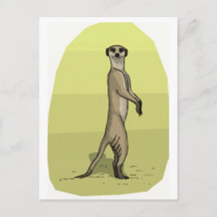 MEERKAT POSTCARD
