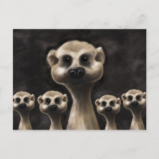Meerkat postcard