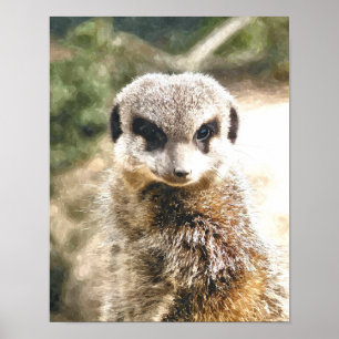 MEERKAT POSTER