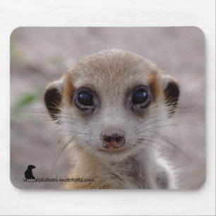 Meerkat Pup Mousepad