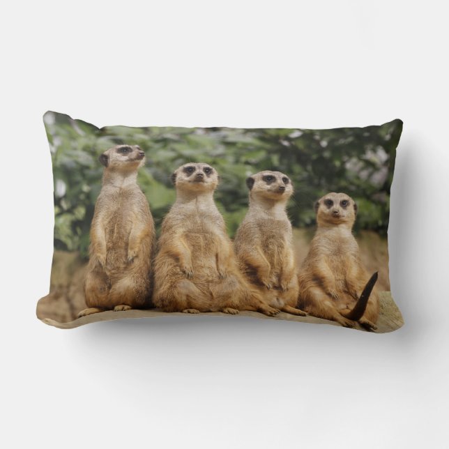 Meerkat-Quartett 001 Lumbar Cushion (Front)