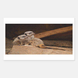 Meerkat Rectangle Sticker