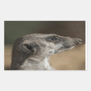 Meerkat Rectangular Sticker