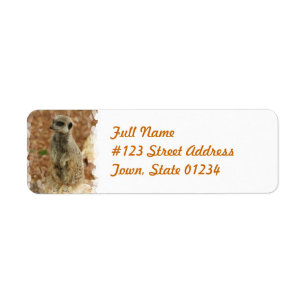 Meerkat Return Address Label