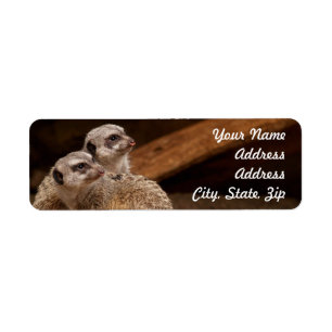 Meerkat Return Address Sticker